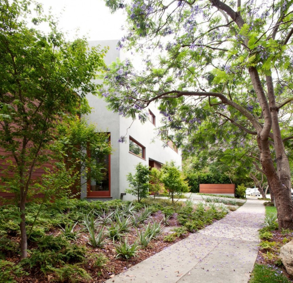 去 Mike Jacobs Architecture 全新打造的 San Lorenzo Residence 私家花園看看 4