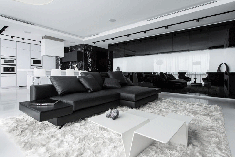 An Almost Entirely Black And White Interior in This Apartment 1