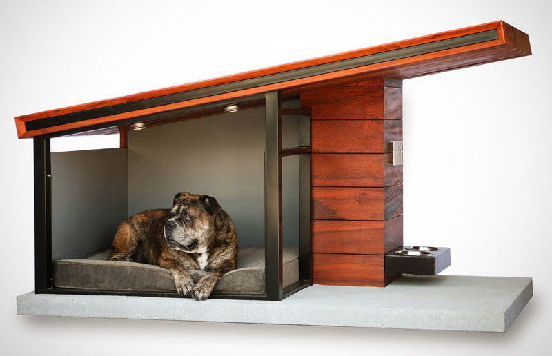Modern Dog House 2